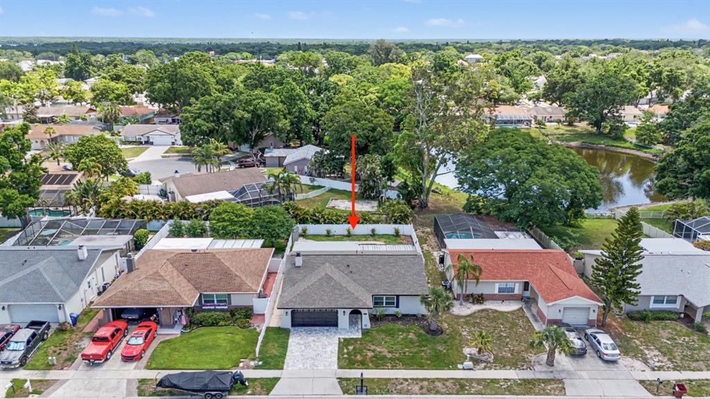 2333 Citrus Hill Road Palm Harbor, FL 34683 - Photo 29 of 30