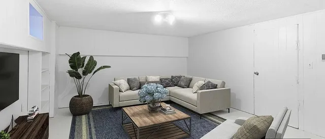 a living room with furniture and a potted plant