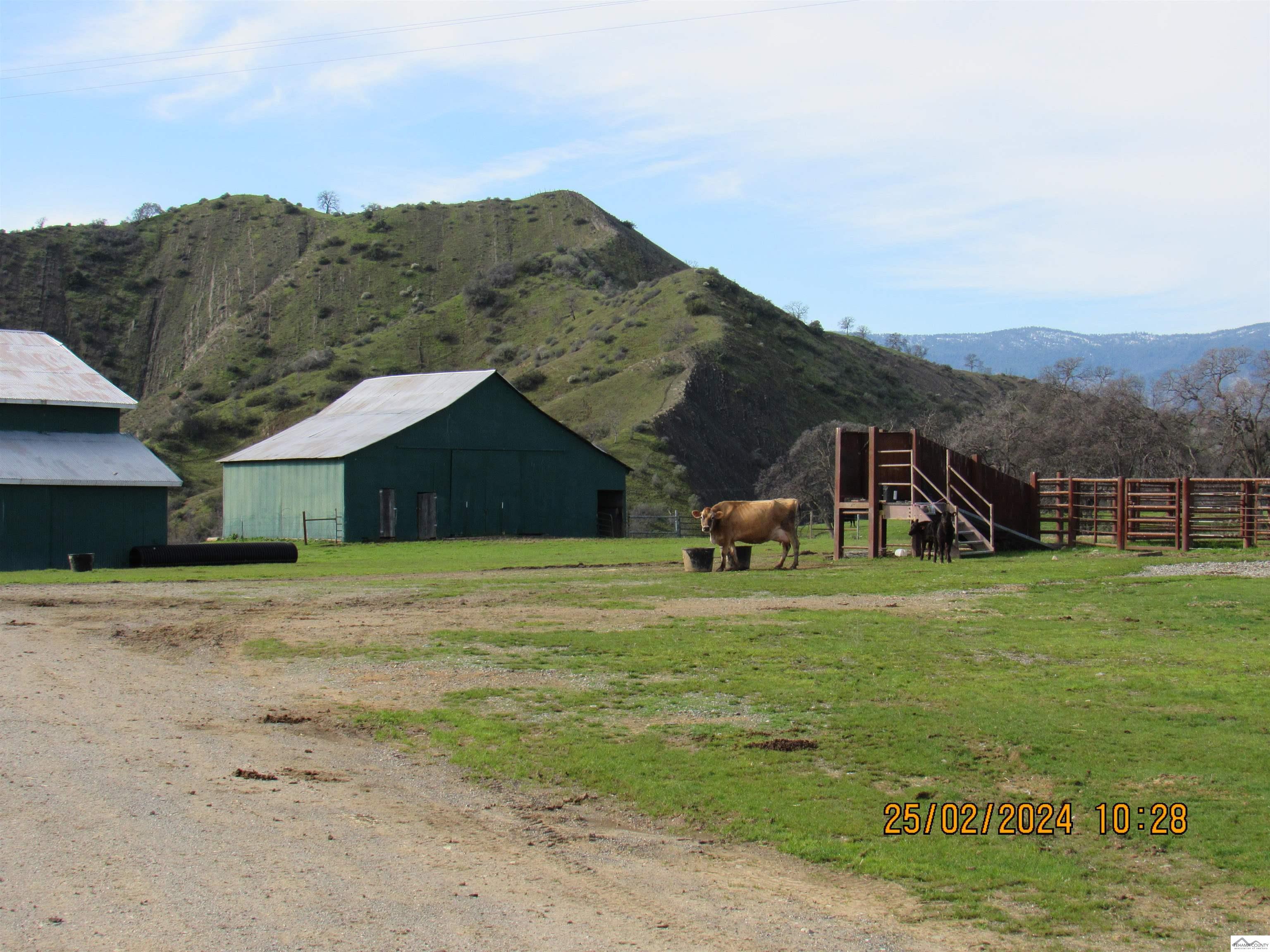 12755 Mccarty Creek Road Red Bluff, CA 96074 - Photo 3 of 28