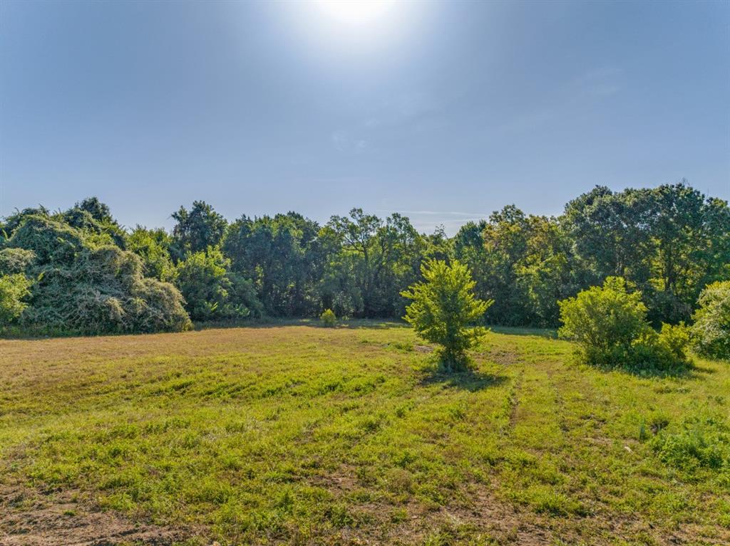 3737 East Highway 199 Springtown, TX 76082 - Photo 7 of 14 View of yard featuring a rural view and a view of trees