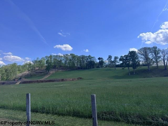 Tbd Shaffers Run Road Mill Creek, WV 26280 - Photo 37 of 43 Gallery Image 37