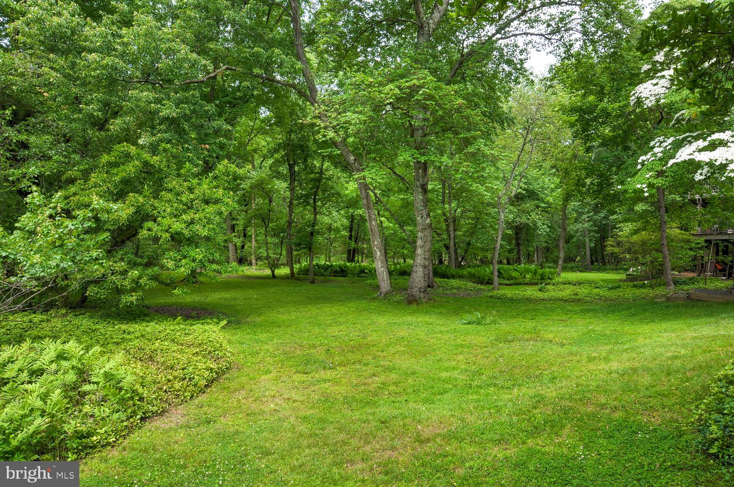 136 Cranbury Road Princeton Junction, NJ 08550 - Photo 34 of 40 Spectacular Back-yard