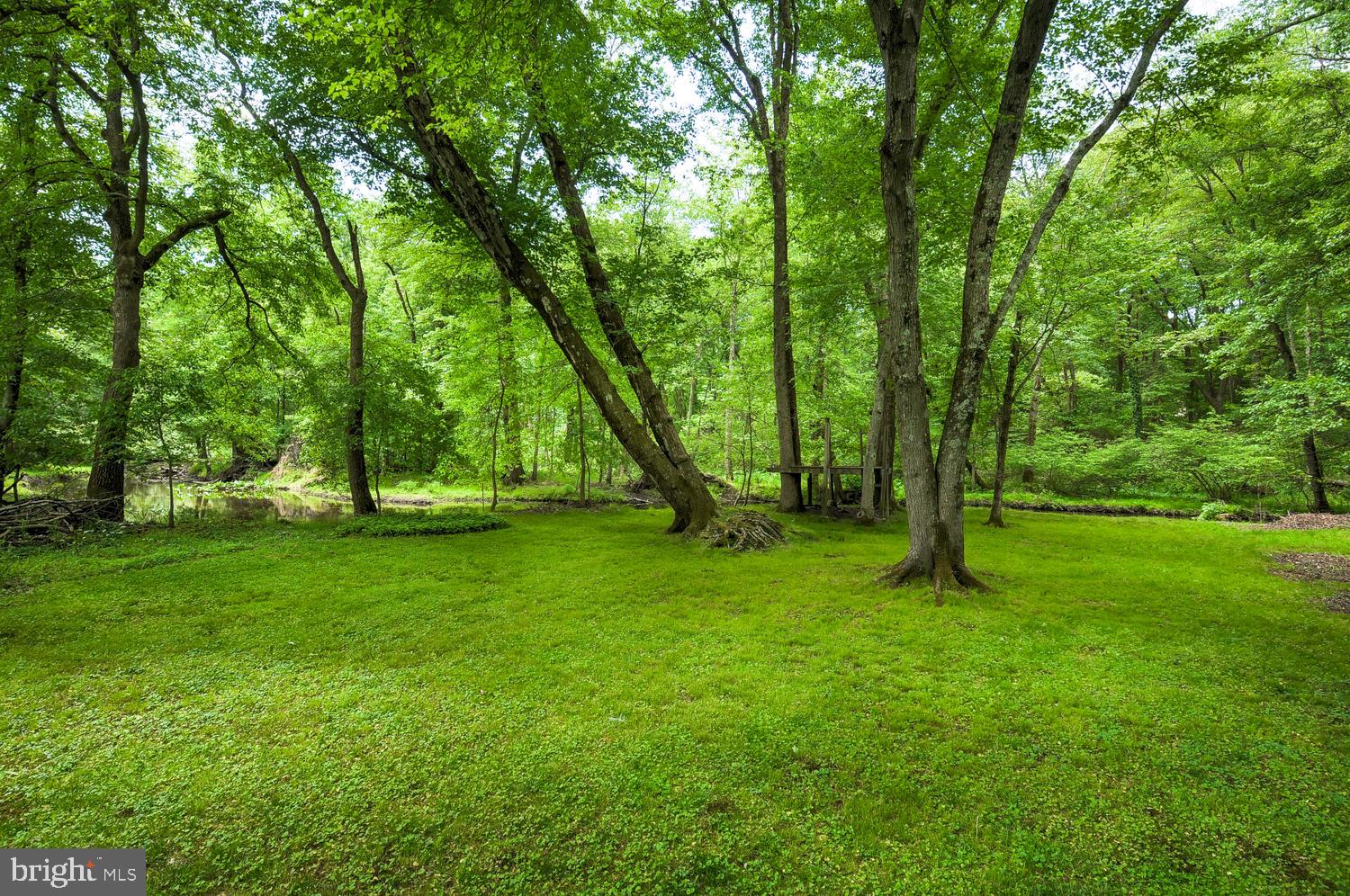 136 Cranbury Road Princeton Junction, NJ 08550 - Photo 35 of 40 Spectacular Backyard