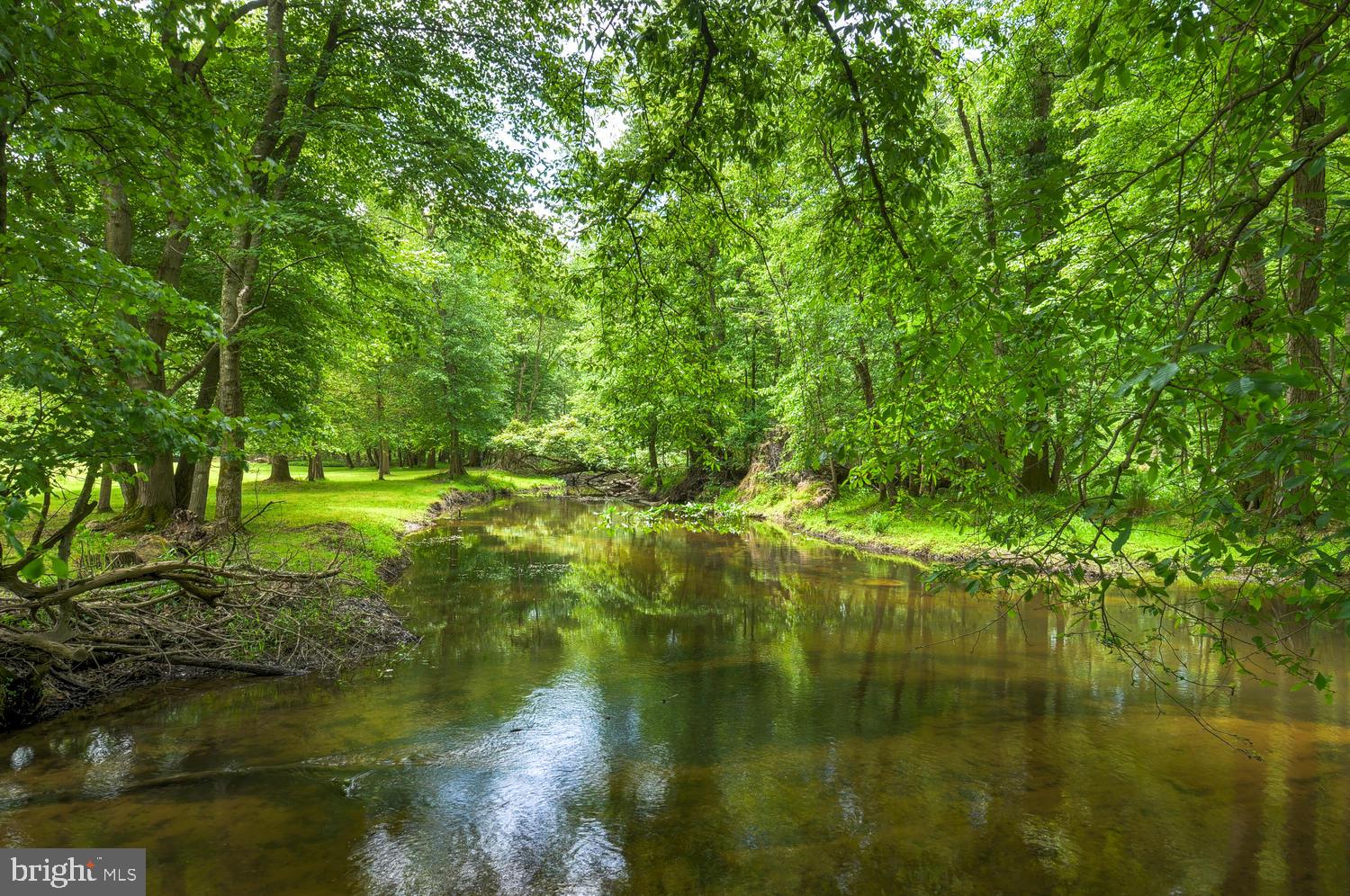 136 Cranbury Road Princeton Junction, NJ 08550 - Photo 36 of 40 Big Bear Brook at edge of property