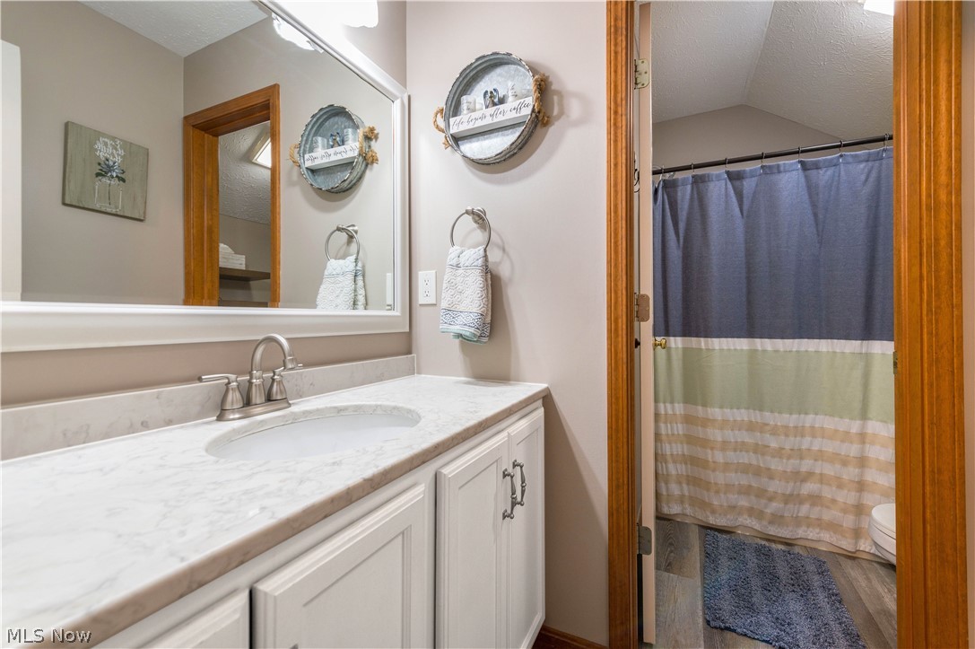 44565 Stang Road Elyria, OH 44035 - Photo 33 of 50 Bathroom with vanity, a shower with shower curtain, and a textured ceiling