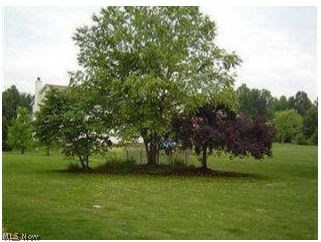 9172 Root Road North Ridgeville, OH 44039 - Photo 21 of 22 Gallery Image 21