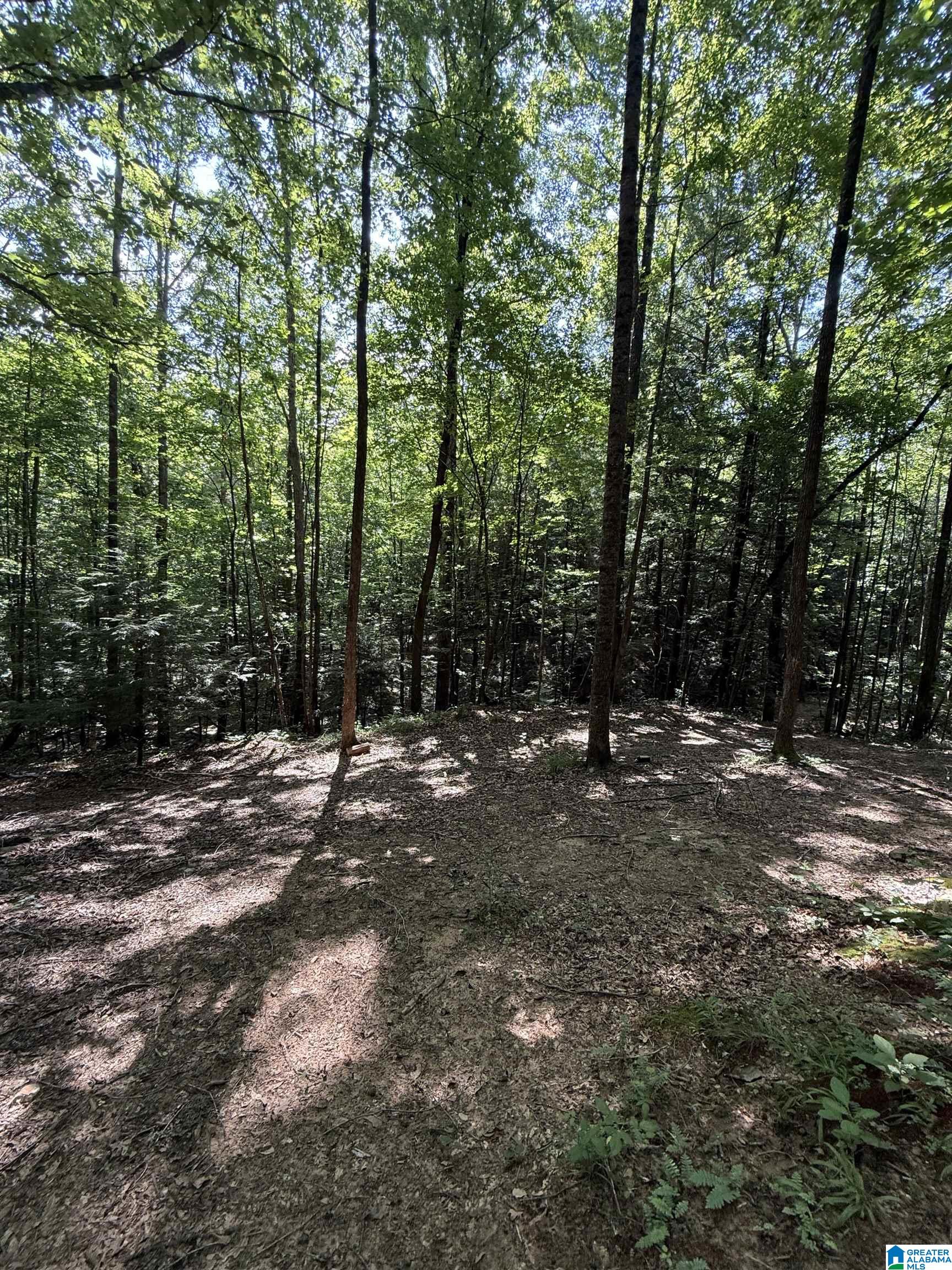 2 County Road 2, Unit 50 / ACRES Double Springs, AL 35553 - Photo 34 of 79
