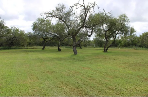 a view of outdoor space with garden and trees