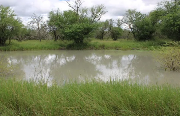 a view of a lake with green space