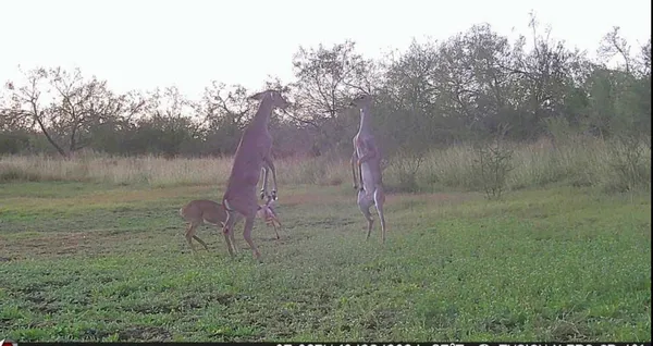 a view of dining room with furniture