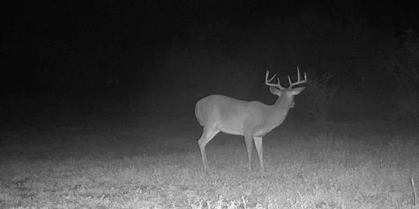 a table and chair sitting in a room