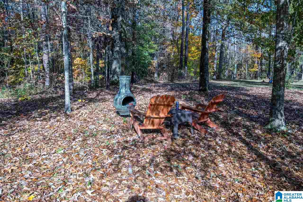 481 Highway 45 Sterrett, AL 35147 - Photo 30 of 41