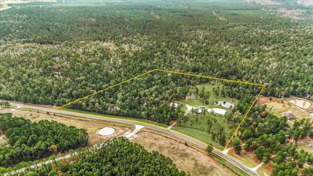 a view of a yard with a tree