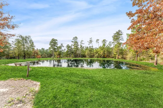 a view of yard with swimming pool and green space