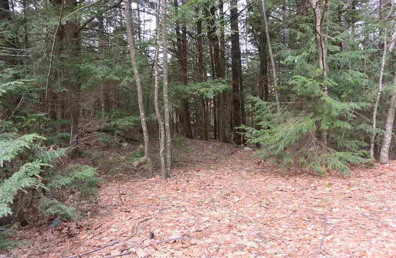 42 Cross Road Sandown, NH 03873 - Photo 4 of 14