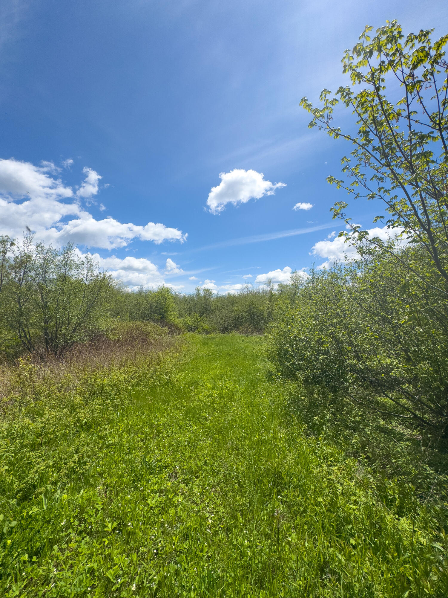 Lot 4 East Ridge Road Cooper, ME 04657 - Photo 19 of 20 RIDGE ROAD LOT 4-17