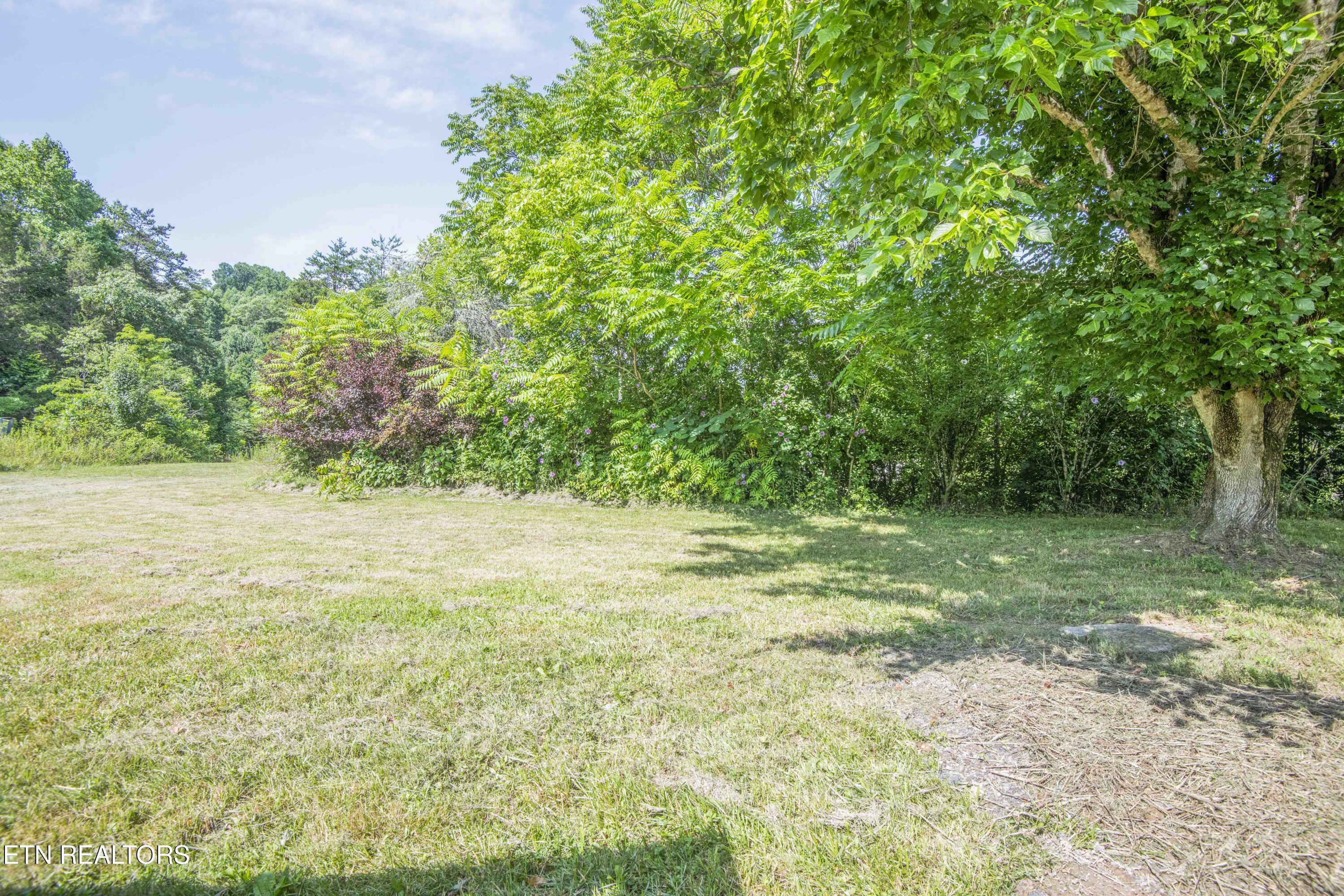 1587 Lower Caney Valley Road Tazewell, TN 37879 - Photo 28 of 42 yard 6_1