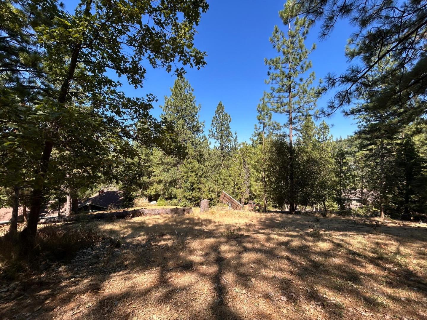 1720 Jacobs Way Placerville, CA 95667 - Photo 1 of 12 a view of outdoor space with trees all around