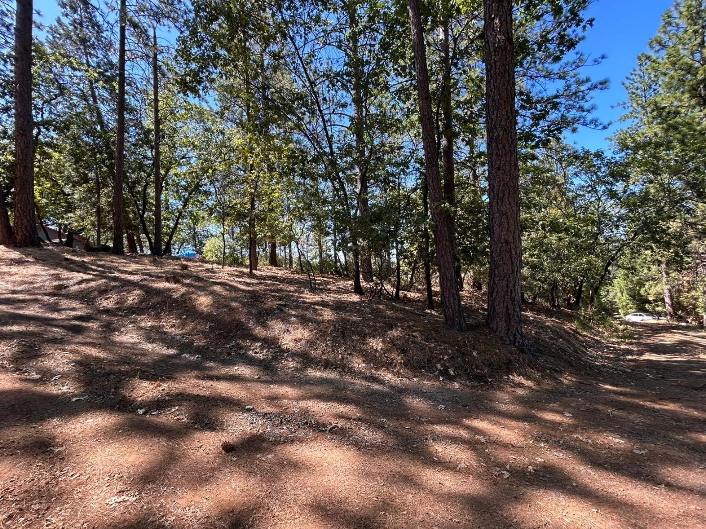 1720 Jacobs Way Placerville, CA 95667 - Photo 12 of 12 a view of outdoor space with trees