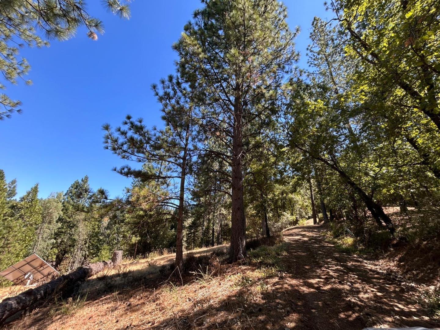 1720 Jacobs Way Placerville, CA 95667 - Photo 4 of 12 a view of outdoor space and yard
