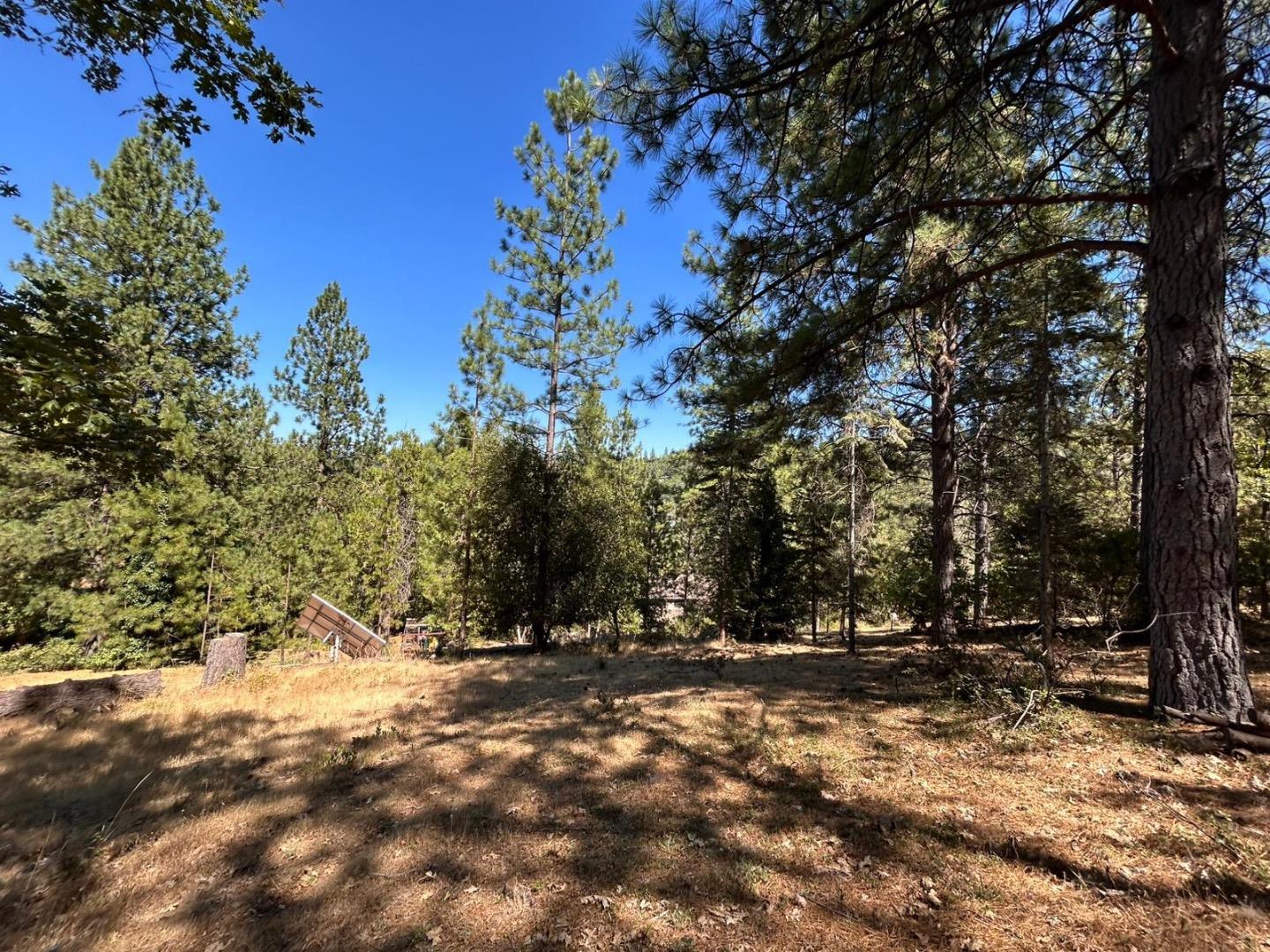 1720 Jacobs Way Placerville, CA 95667 - Photo 5 of 12 a view of outdoor space with trees
