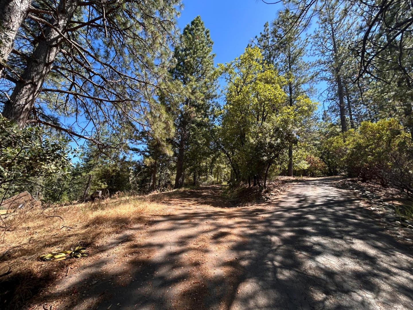 1720 Jacobs Way Placerville, CA 95667 - Photo 7 of 12 a view of tree outside of a house