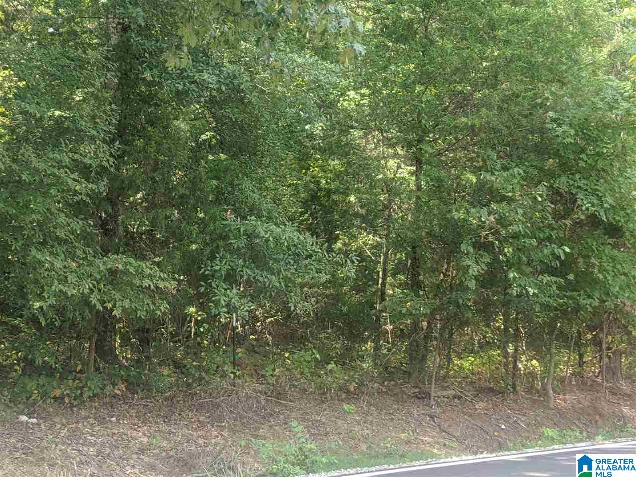 0 Old Broadwell Mill Road Jacksonville, AL 36265 - Photo 15 of 22