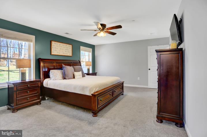 11326 Daysville Road Frederick, MD 21701 - Photo 18 of 38 1st Master Bedroom