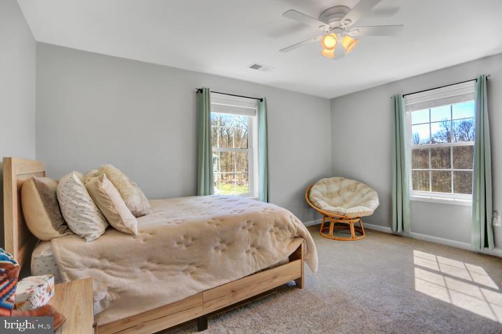 11326 Daysville Road Frederick, MD 21701 - Photo 22 of 38 2nd Master Suite