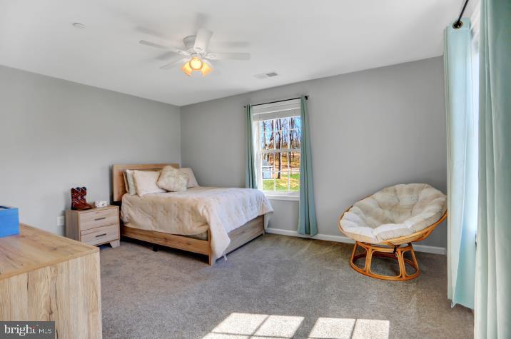 11326 Daysville Road Frederick, MD 21701 - Photo 23 of 38 2nd Master Suite