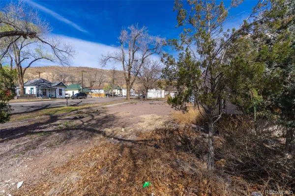 a view of a yard with a tree