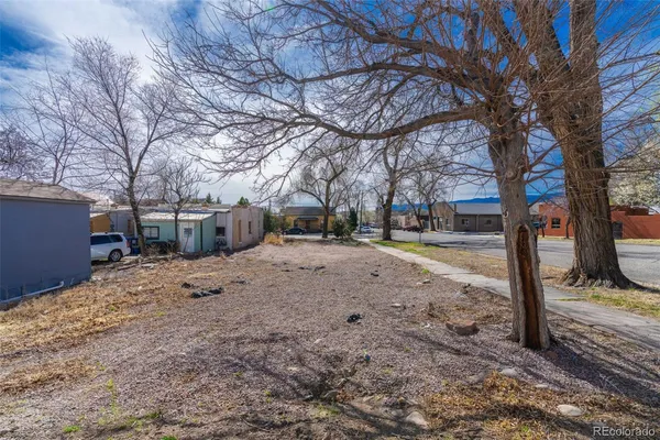 a view of a yard with a tree