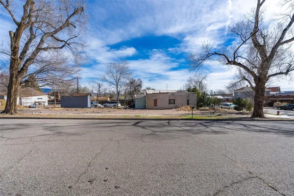 a view of city street with large trees