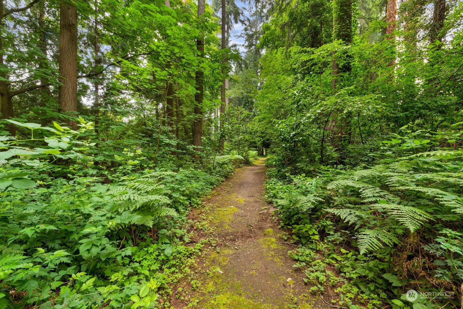 20500 32nd Drive Southeast Bothell, WA 98012 - Photo 25 of 28 a view of a garden