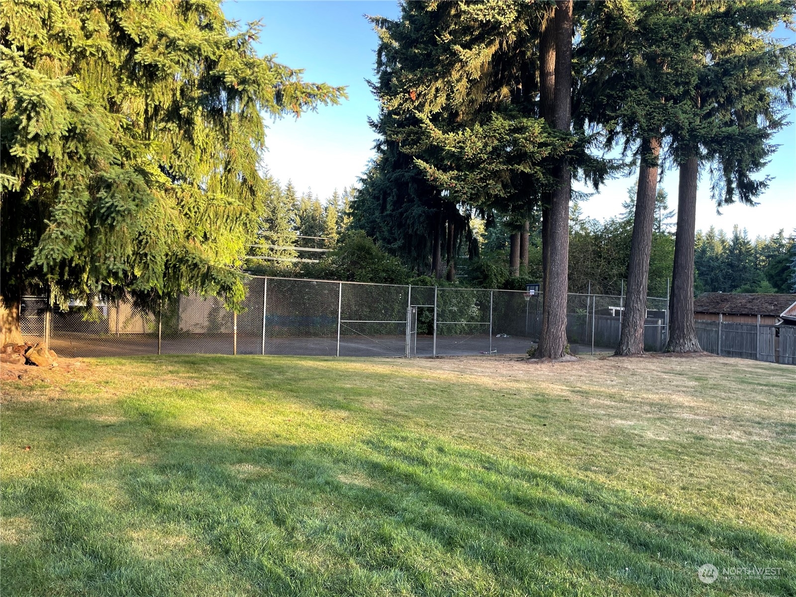 20500 32nd Drive Southeast Bothell, WA 98012 - Photo 27 of 28 a view of a backyard