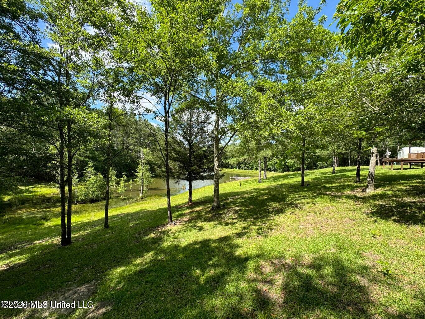 2455 Highway 26 Lumberton, MS 39455 - Photo 13 of 22 20240524163542436658000000-o