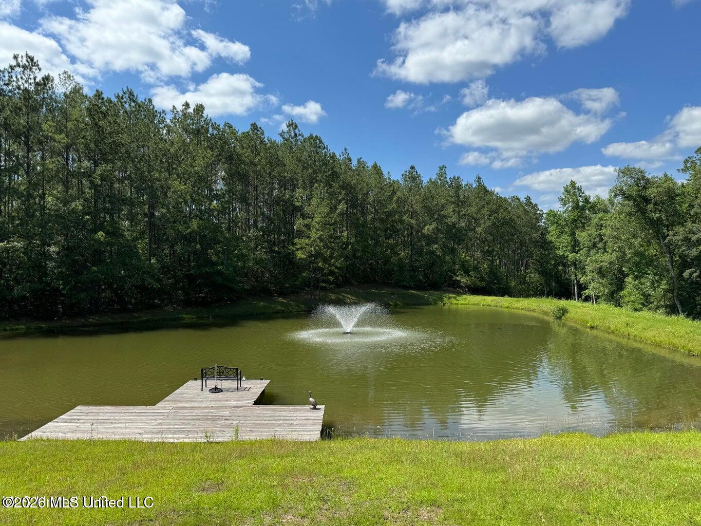 2455 Highway 26 Lumberton, MS 39455 - Photo 14 of 22 20240524163550727914000000-o