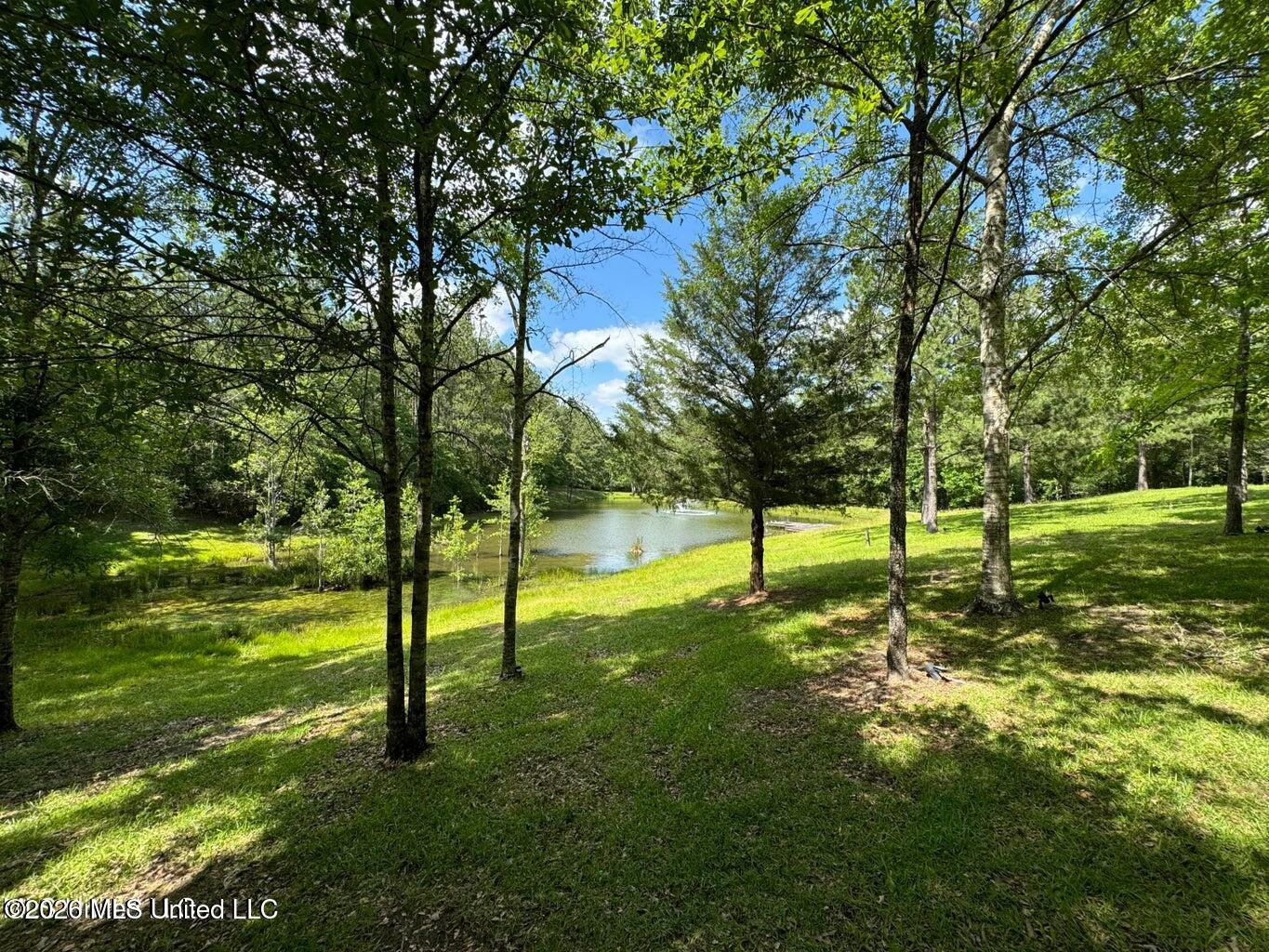 2455 Highway 26 Lumberton, MS 39455 - Photo 16 of 22 20240524163609999175000000-o