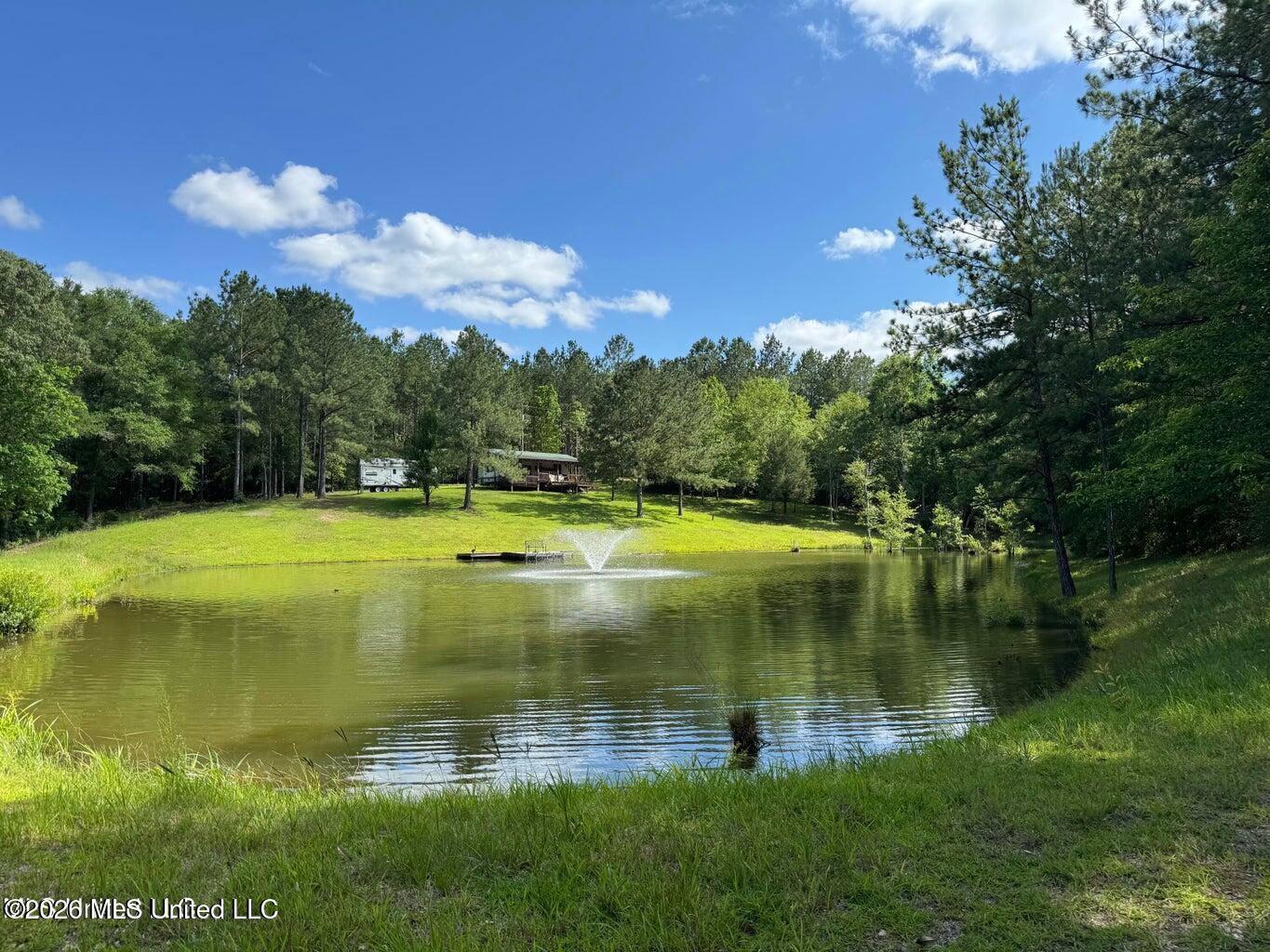 2455 Highway 26 Lumberton, MS 39455 - Photo 21 of 22 20240524163750552374000000-o
