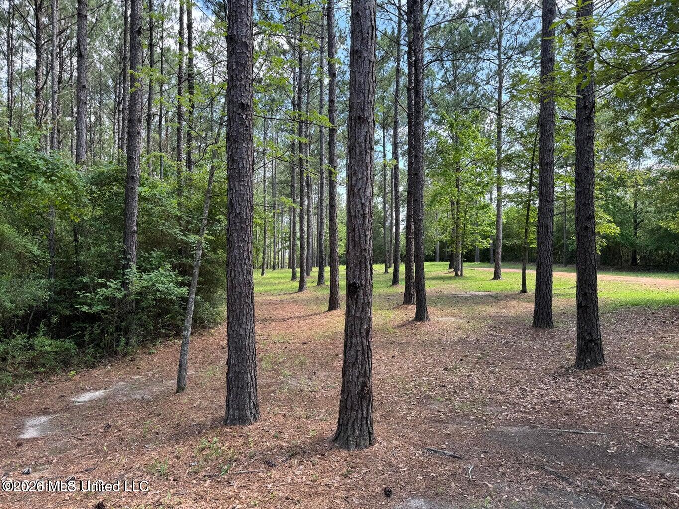 2455 Highway 26 Lumberton, MS 39455 - Photo 3 of 22 20240524162415417382000000-o
