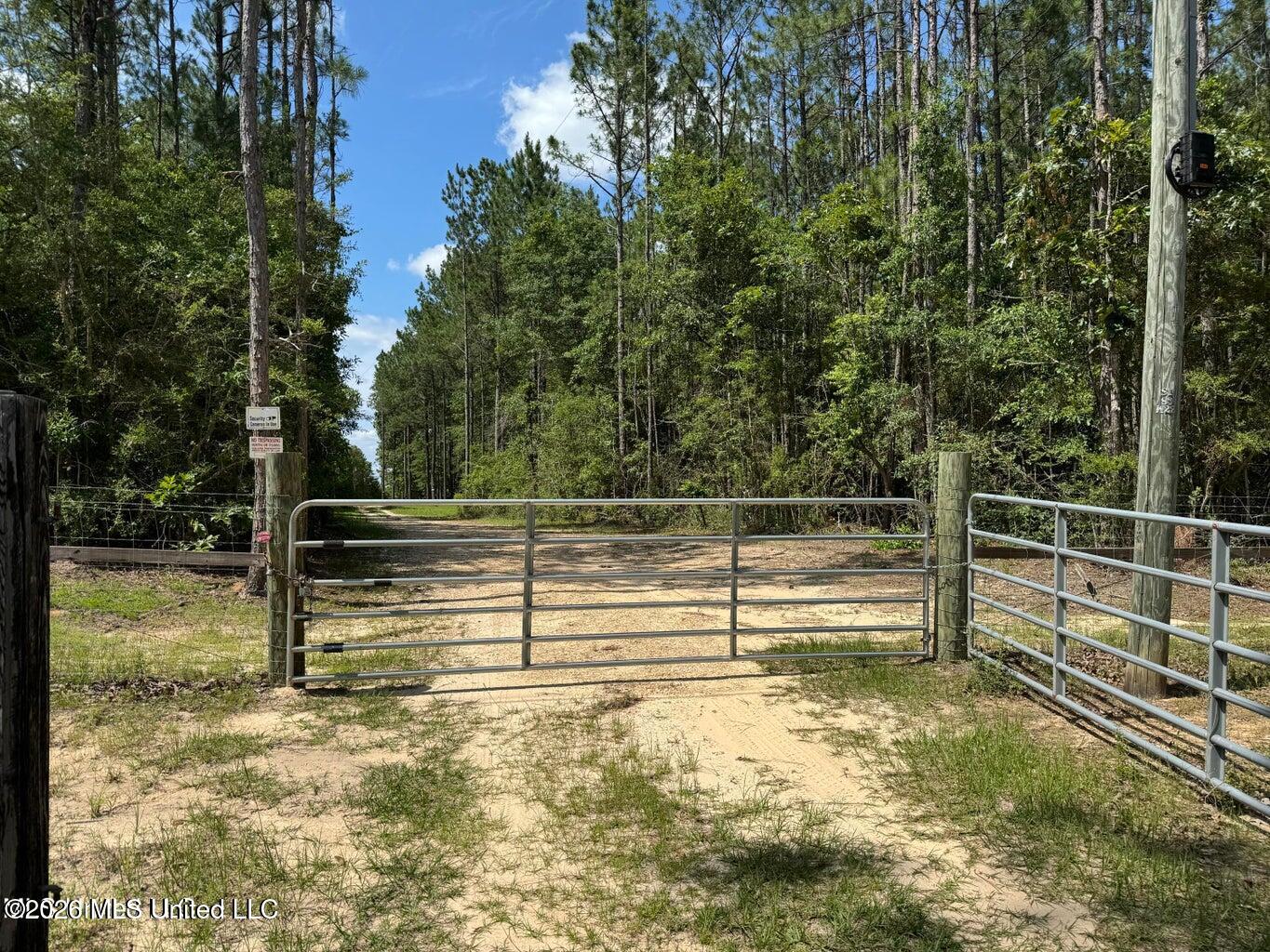 2455 Highway 26 Lumberton, MS 39455 - Photo 4 of 22 20240524162647989690000000-o