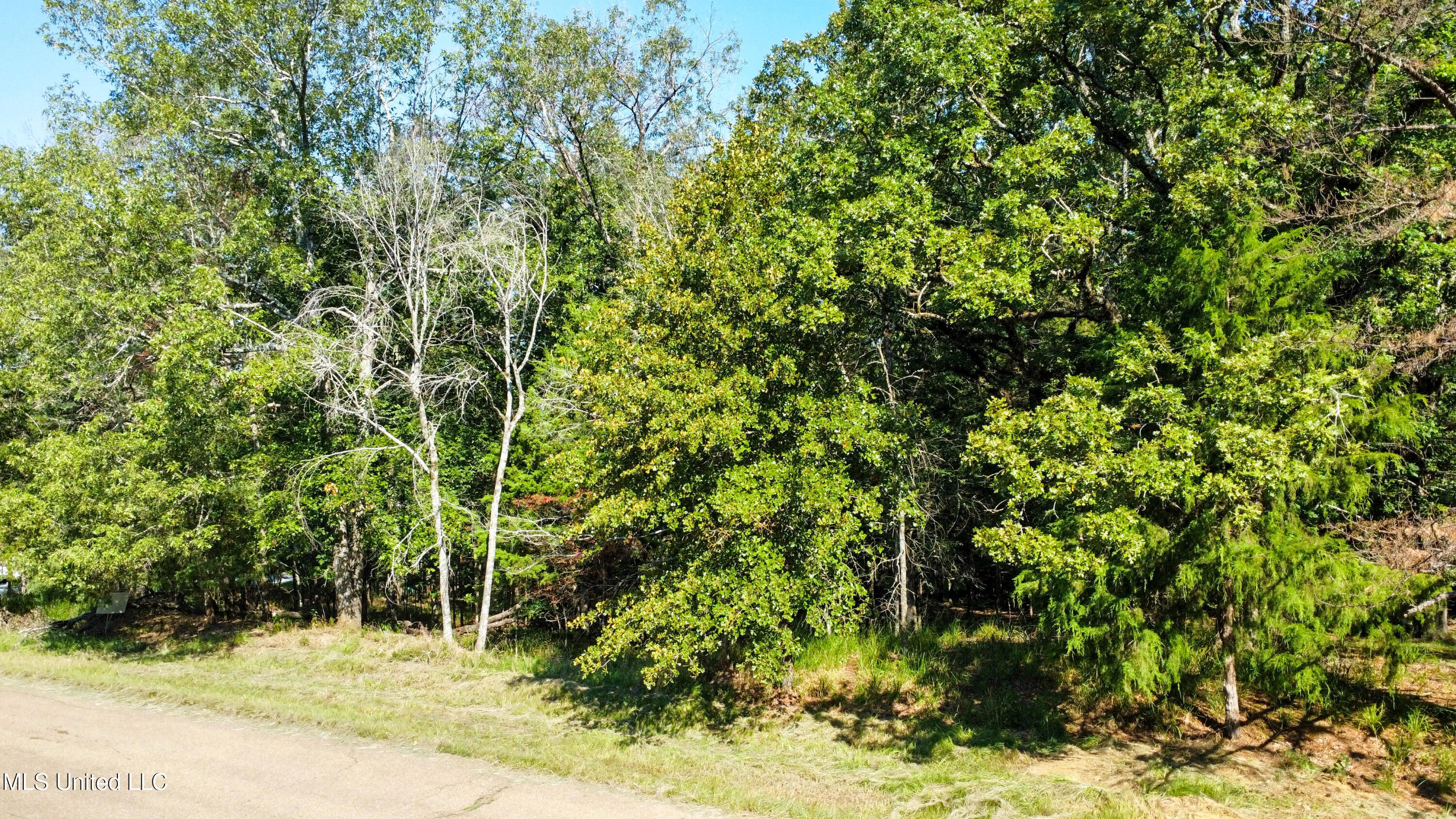 0 Mallard Way Clinton, MS 39056 - Photo 3 of 5 dji_fly_20240712_092714_498_172079447286