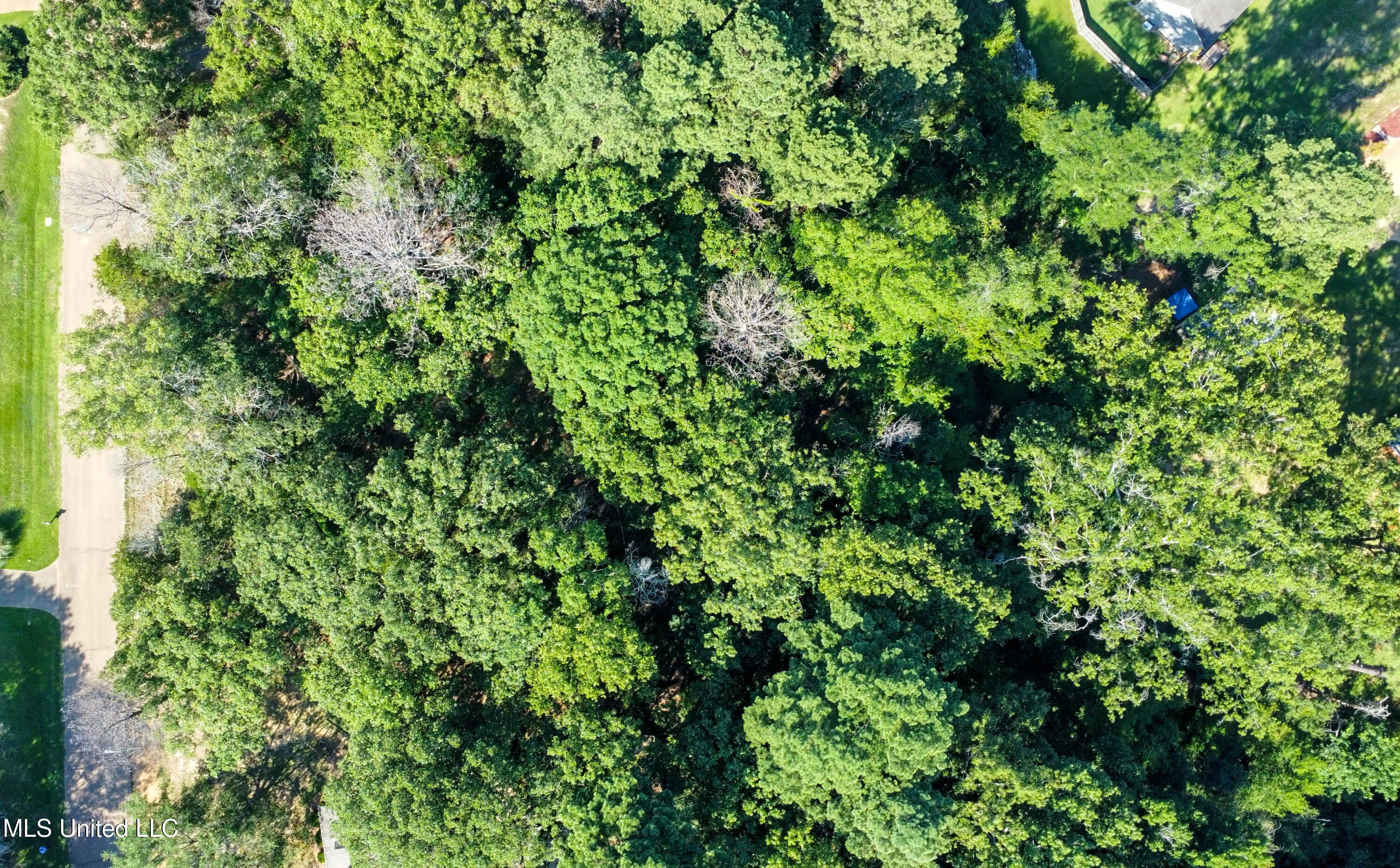 0 Mallard Way Clinton, MS 39056 - Photo 4 of 5 dji_fly_20240712_092918_501_172079456799