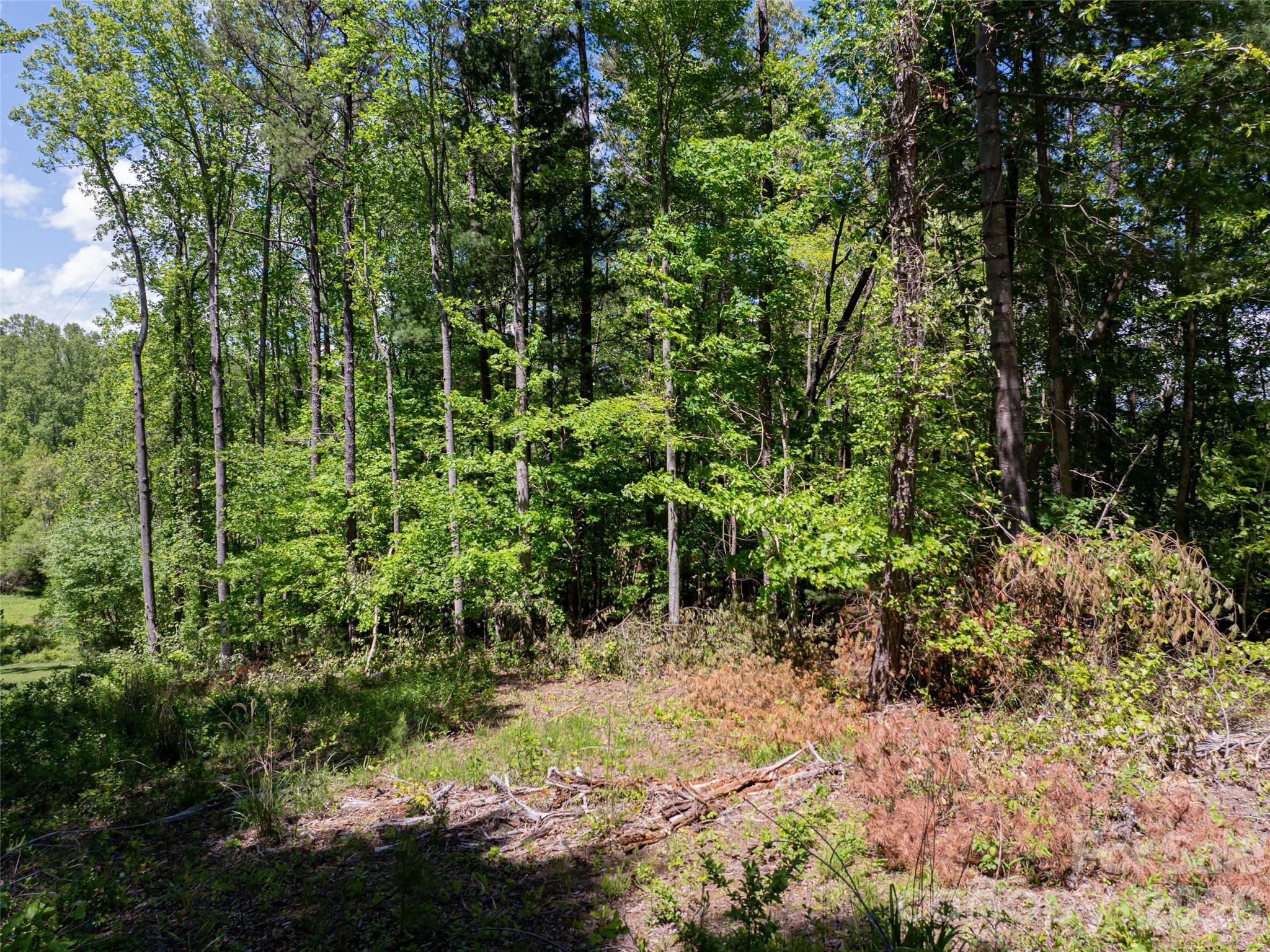 99999 Brevard Road Mills River, NC 28759 - Photo 2 of 13