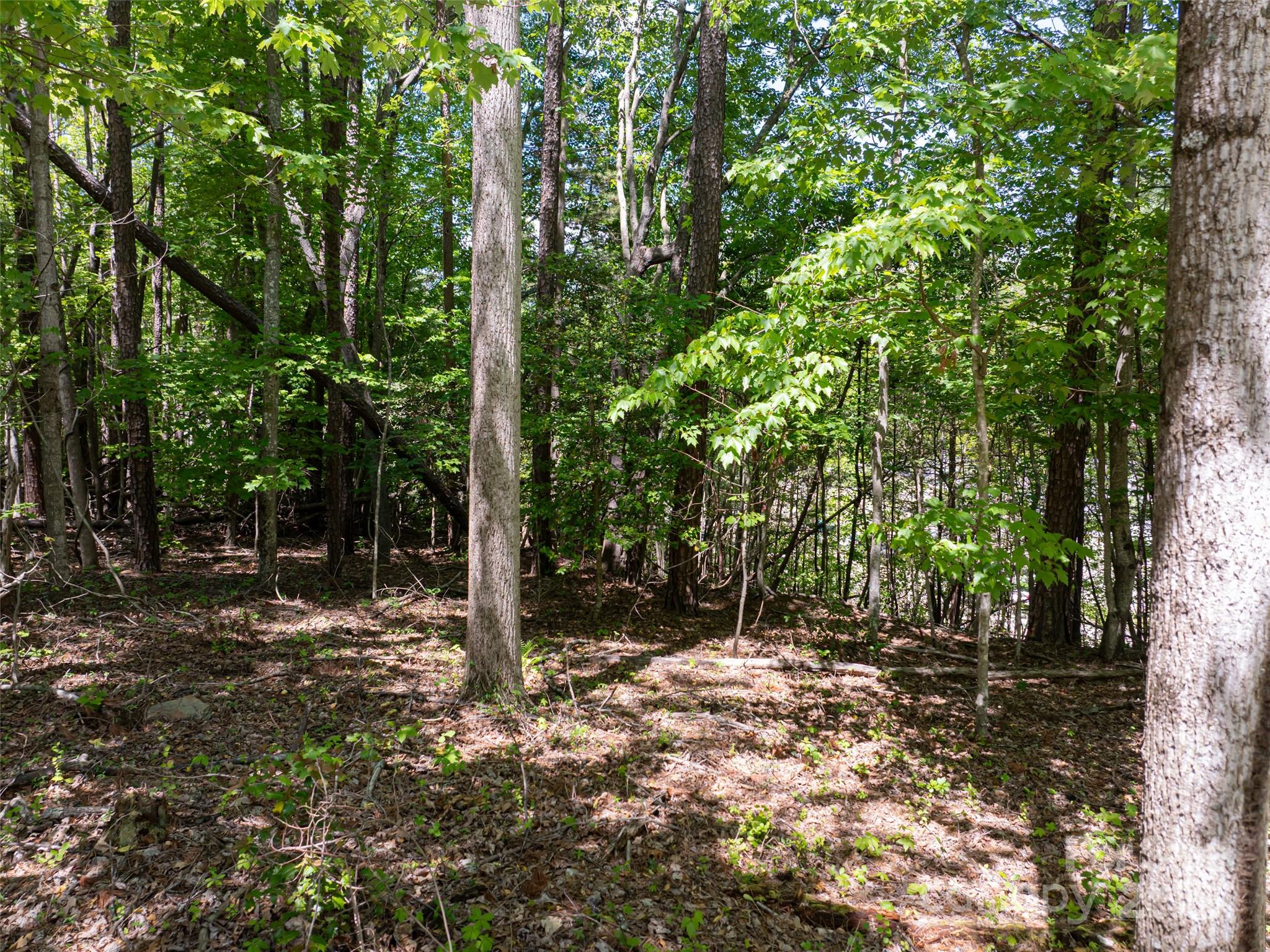 99999 Brevard Road Mills River, NC 28759 - Photo 4 of 13 a backyard of a house with lots of green space