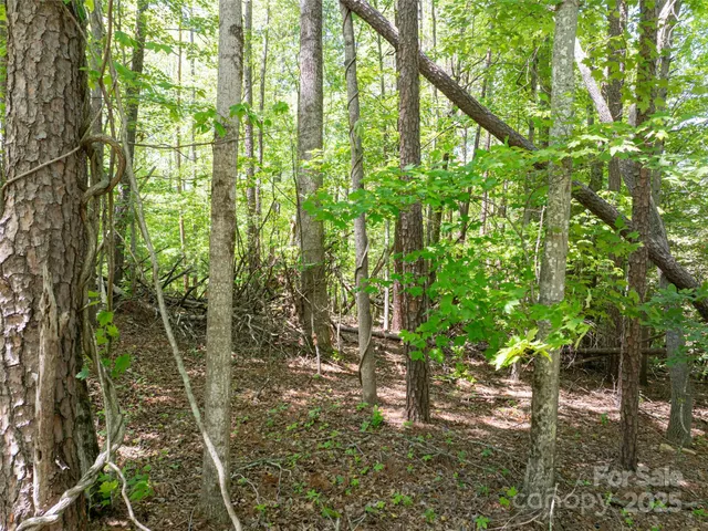 a backyard of a house with lots of green space and garden view