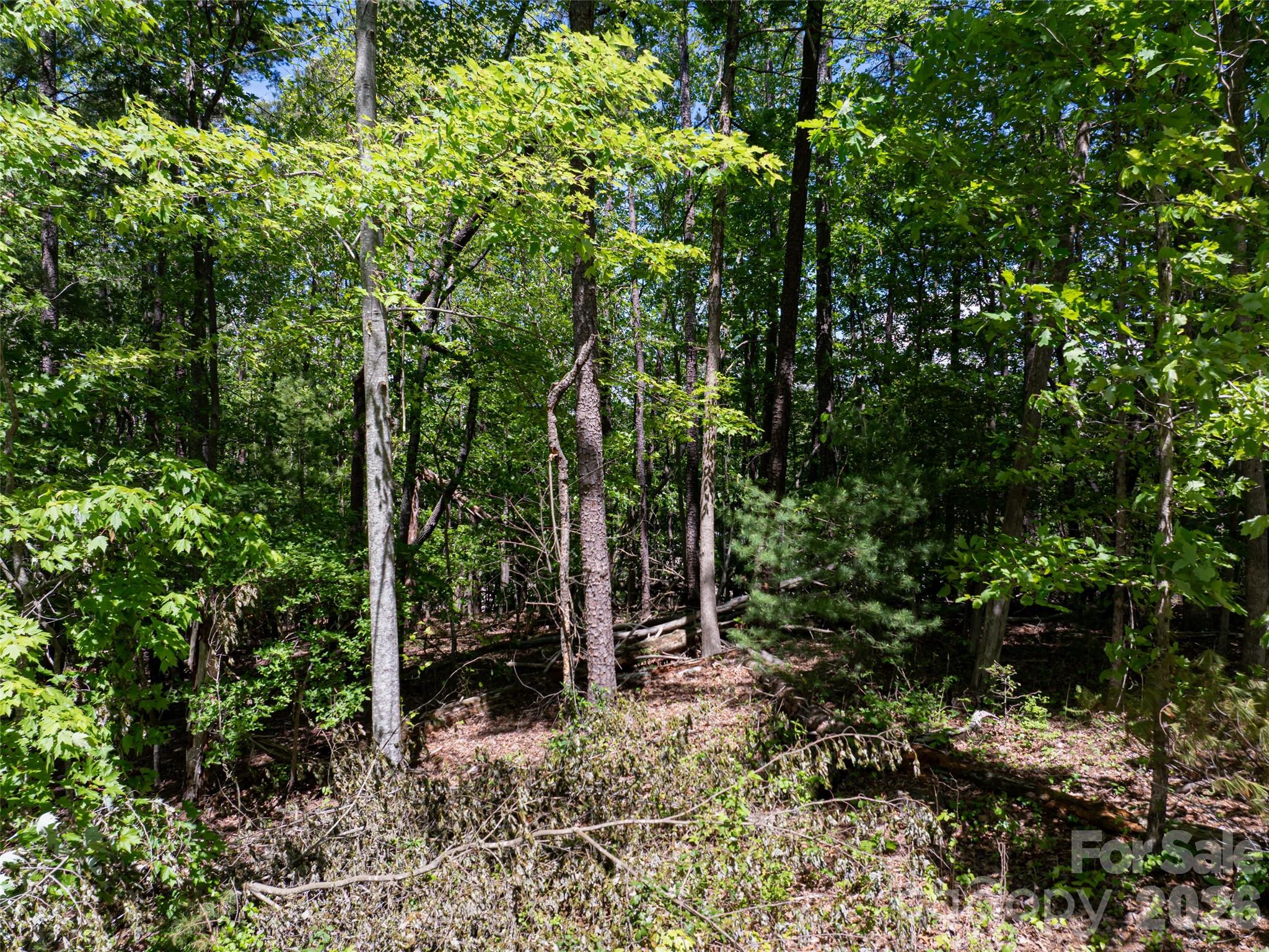 99999 Brevard Road Mills River, NC 28759 - Photo 8 of 13