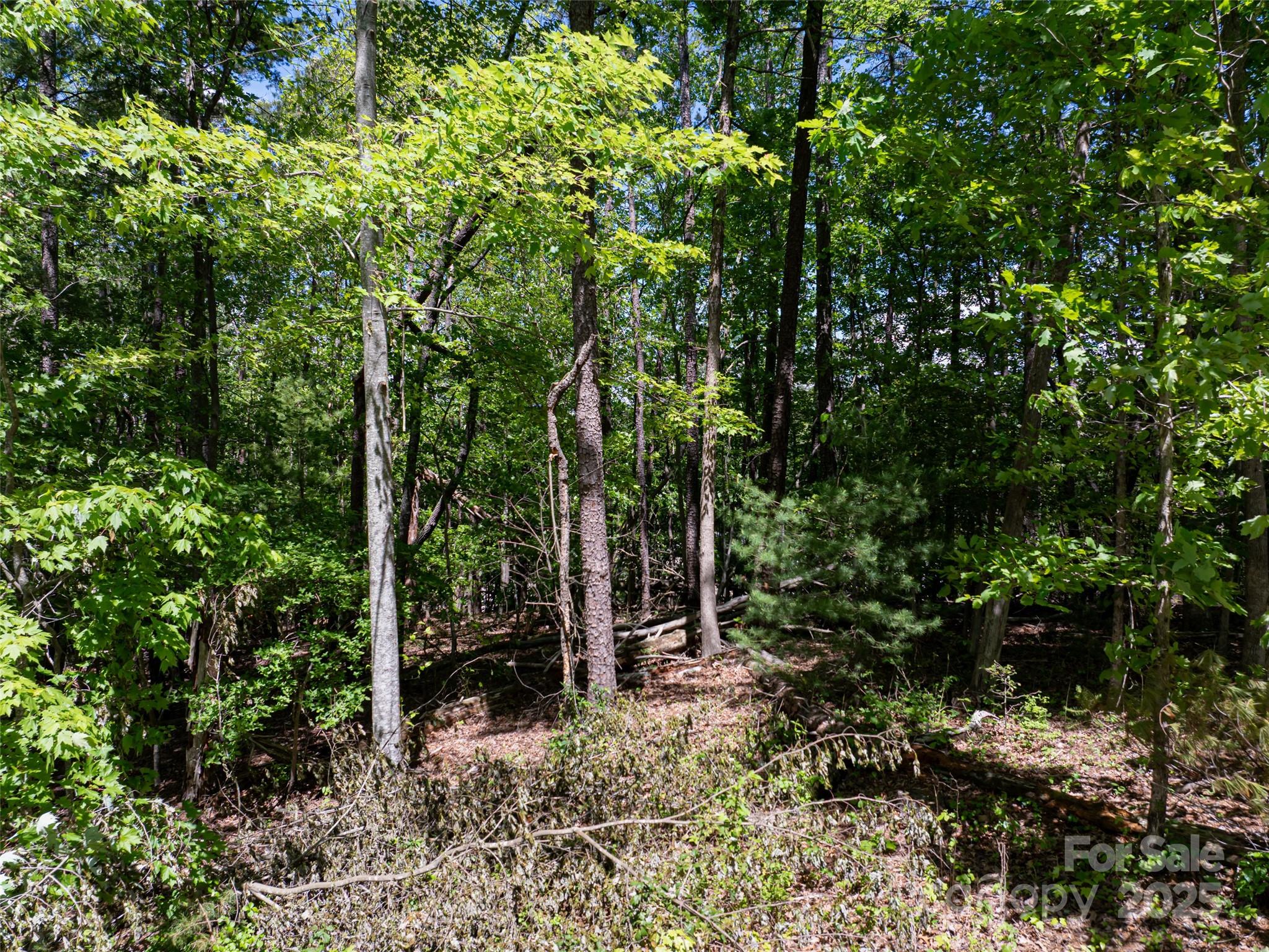 99999 Brevard Road Mills River, NC 28759 - Photo 9 of 13 a view of outdoor space and green space