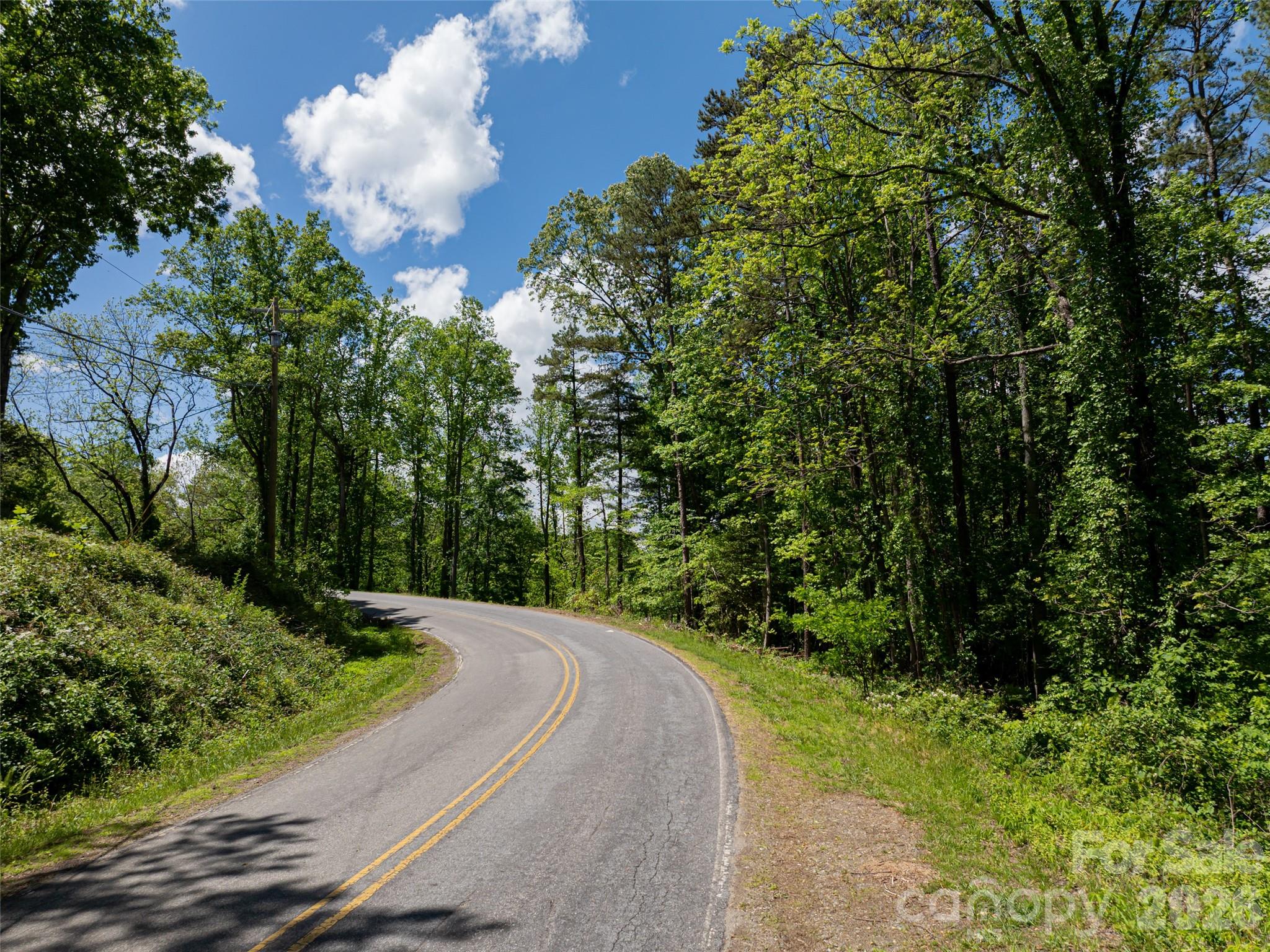 99999 Brevard Road Mills River, NC 28759 - Photo 9 of 13