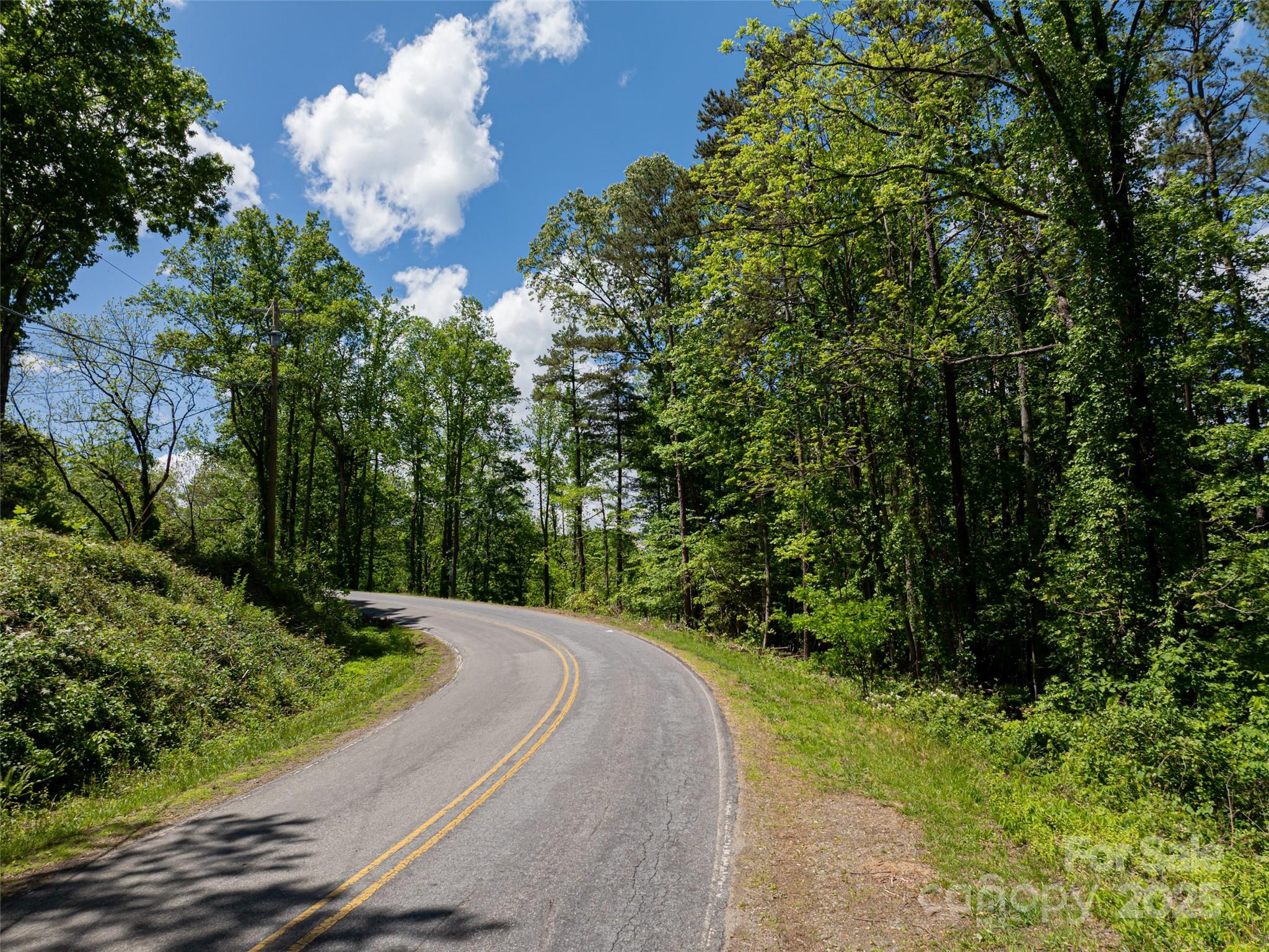 99999 Brevard Road Mills River, NC 28759 - Photo 10 of 13 a view of a street with a trees